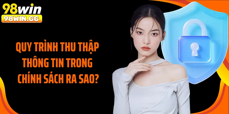 Quy trình thu thập thông tin trong chính sách ra sao?